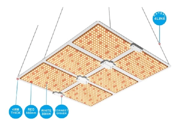 Hot Product 600W 660nm Commercial Hydroponics Full Spectrum LED Grow Light