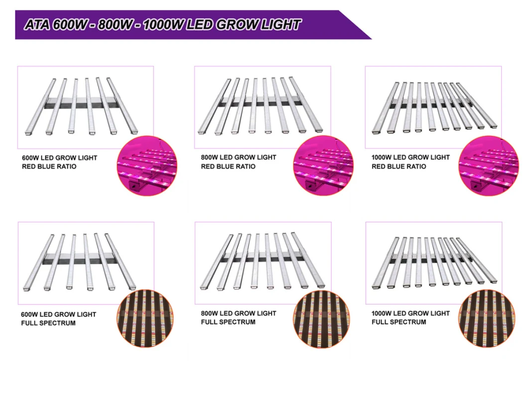 50W/75W/80W/100W/150W/300W/400W/450W/500W/600W/650W/700W/800W/900W/1000W/1200W/1500W COB/SMD LED Grow Light