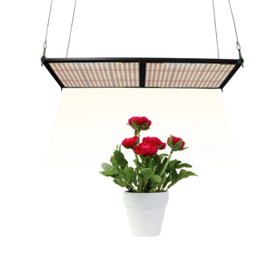 Producto caliente 600W 660nm hidroponía comercial Full Spectrum LED crece la luz