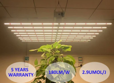 La barra Spydr LED del espectro completo 640W de las plantas médicas de cultivo vertical comercial del pulpo crece la luz