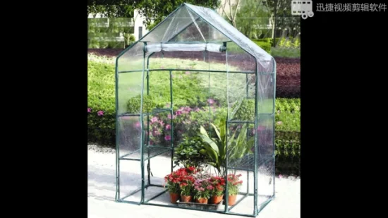 Mini invernadero emergente con cubierta transparente Casa de cultivo de plantas protegida Refugio de tienda de flores portátil para jardín Patio trasero al aire libre