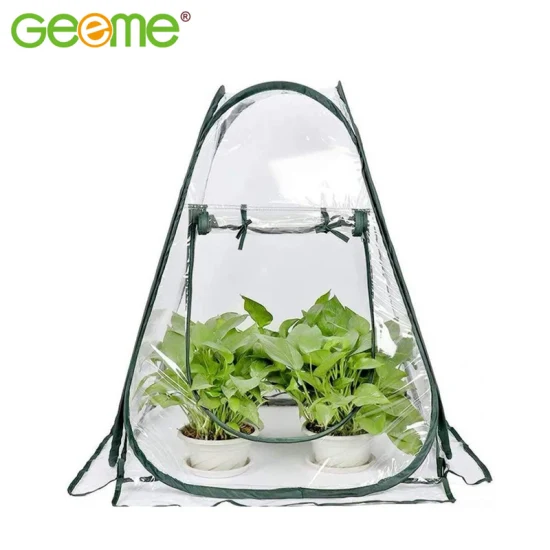 Supply Amazon Mini invernadero pequeño con cubierta de plástico transparente Casa de flores, tienda de campaña portátil emergente para cultivo de plantas, refugio para jardín al aire libre, patio trasero