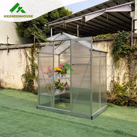 Semillas de flores comerciales al aire libre usadas tienda de cultivo Hx65213G